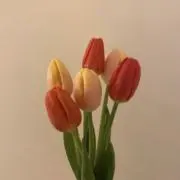 Y