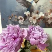 KMkawaiの画像