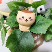 keiの画像
