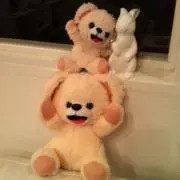 うさのすけの画像