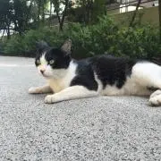 ぬぬ