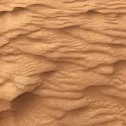 GOGOの画像