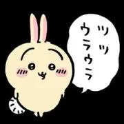 ニクキュウ