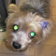 コマ