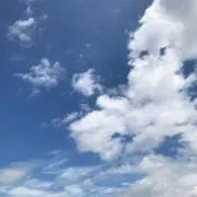 コーヒー豆