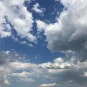 joeの画像