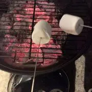 こあらの画像