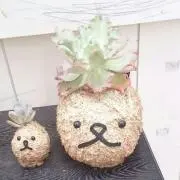 ちーちゃん