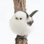 こわんこの画像