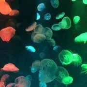 波★まとめ売り大歓迎の画像
