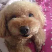 まつお ゆみ