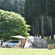 タカップの画像
