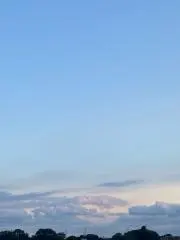 みく