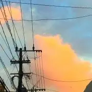 散歩職人の画像