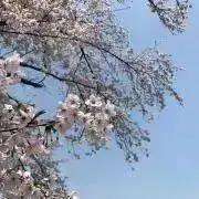 はなまるちゃん