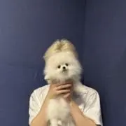 ？