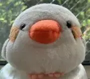 げんさんの画像