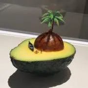 しーの画像