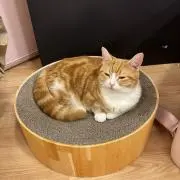 みみ（プロフ確認お願いします＊）の画像