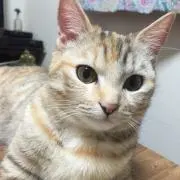 さんさんの画像