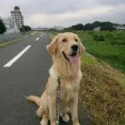 ハワイ