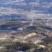 長谷川 豊の画像