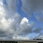 jinの画像