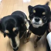 トイストーリー