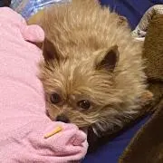 モーチン