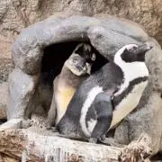 ゆうすけの画像