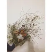 みゃす
