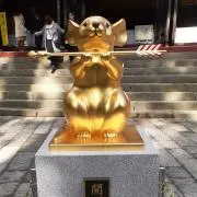 チョコ坊の画像