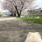 yran717の画像