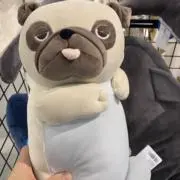 srgの画像