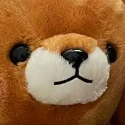 もちしば