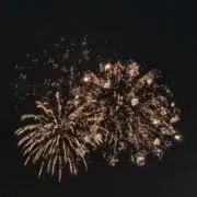 kttr1417の画像