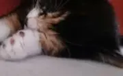 C☆M
