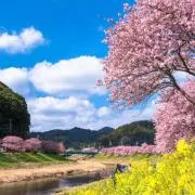 まぴ☘️の画像