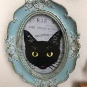 ちゃちゃの画像