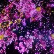 say@プロフ確認願いますm(_ _)mの画像