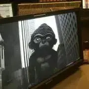 miiの画像