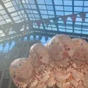 うぱの画像
