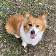 みーの画像