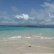 ぱの画像