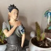 ほちまる