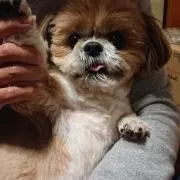 ふくさん