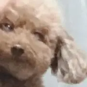 さとみの画像
