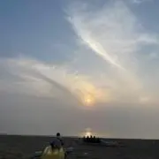はとの画像