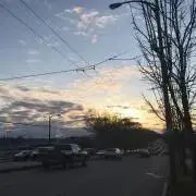 まるこ