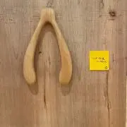ミドリの画像